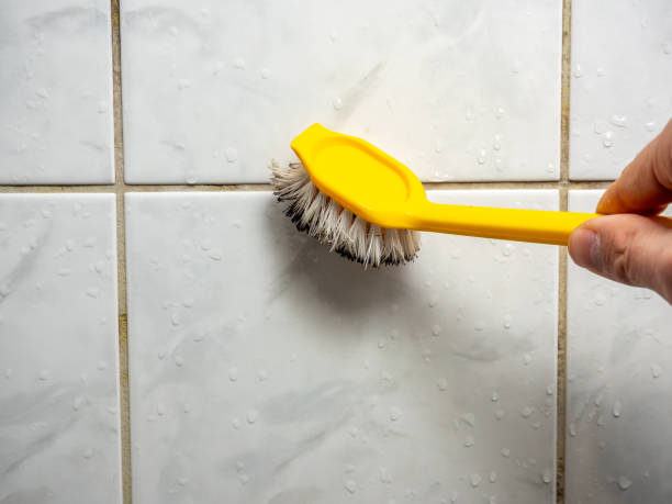 Hellertown, PA Mold Removal Company