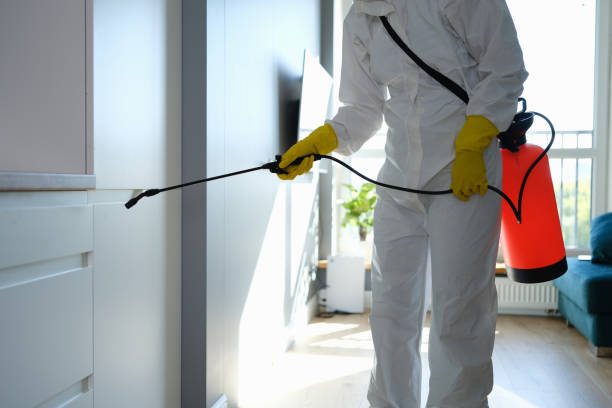 Best Mold Remediation  in Hellertown, PA