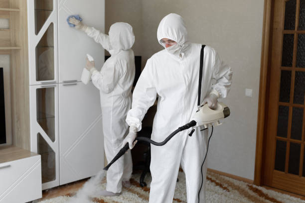 Best Residential Mold Removal  in Hellertown, PA