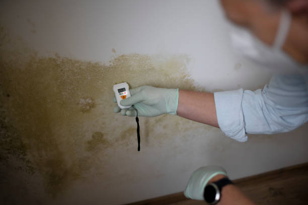Best Mold Cleaning Services  in Hellertown, PA