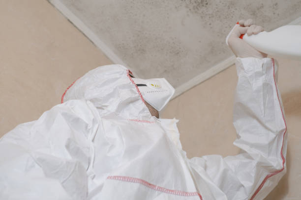 Hellertown, PA Mold Removal Company