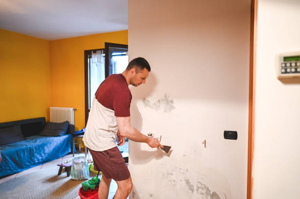 Best Home Mold Removal  in Hellertown, PA