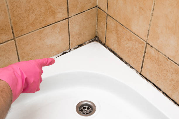 Best Commercial Mold Removal  in Hellertown, PA